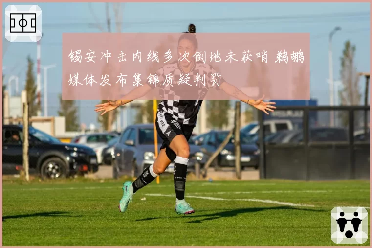 锡安冲击内线多次倒地未获哨 鹈鹕媒体发布集锦质疑判罚