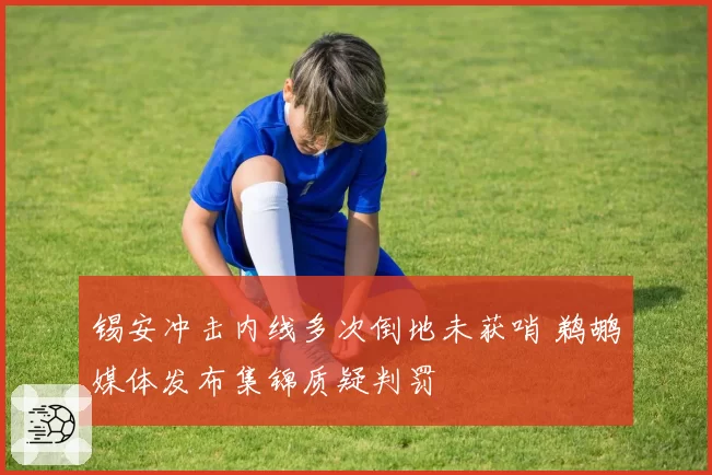 锡安冲击内线多次倒地未获哨 鹈鹕媒体发布集锦质疑判罚